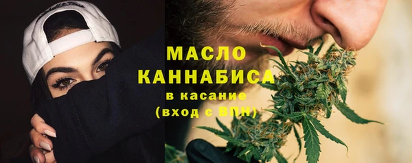хмурый Арсеньев