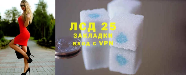 хмурый Арсеньев