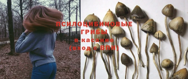 героин Алзамай