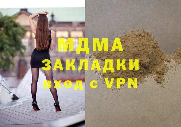 хмурый Арсеньев