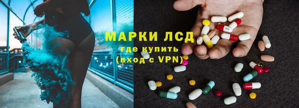 хмурый Арсеньев