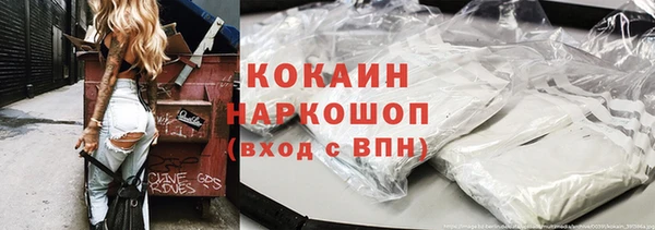 хмурый Арсеньев