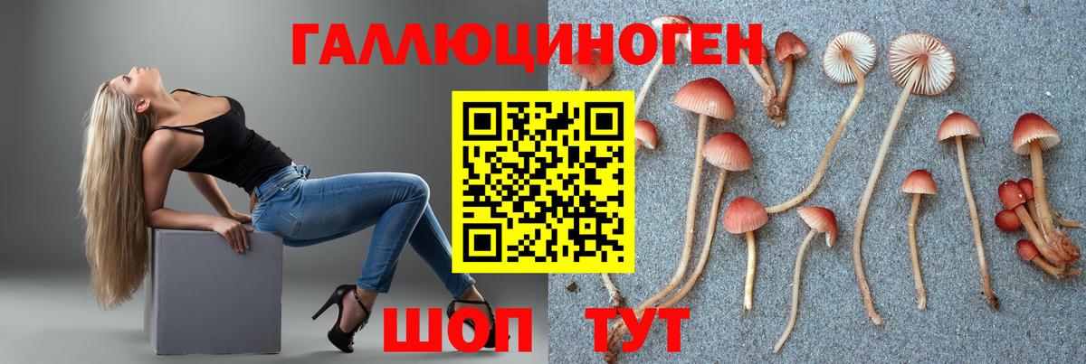 Псилоцибиновые грибы Cubensis Темрюк
