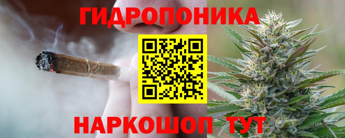 Канабис White Widow  Шишки марихуана тримм  Канабис семена  Вход с VPN  Темрюк 